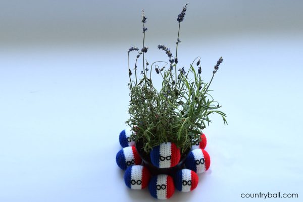 Franceball's favorite flower: Lavender